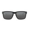 Accessories Oakley | Holbrook